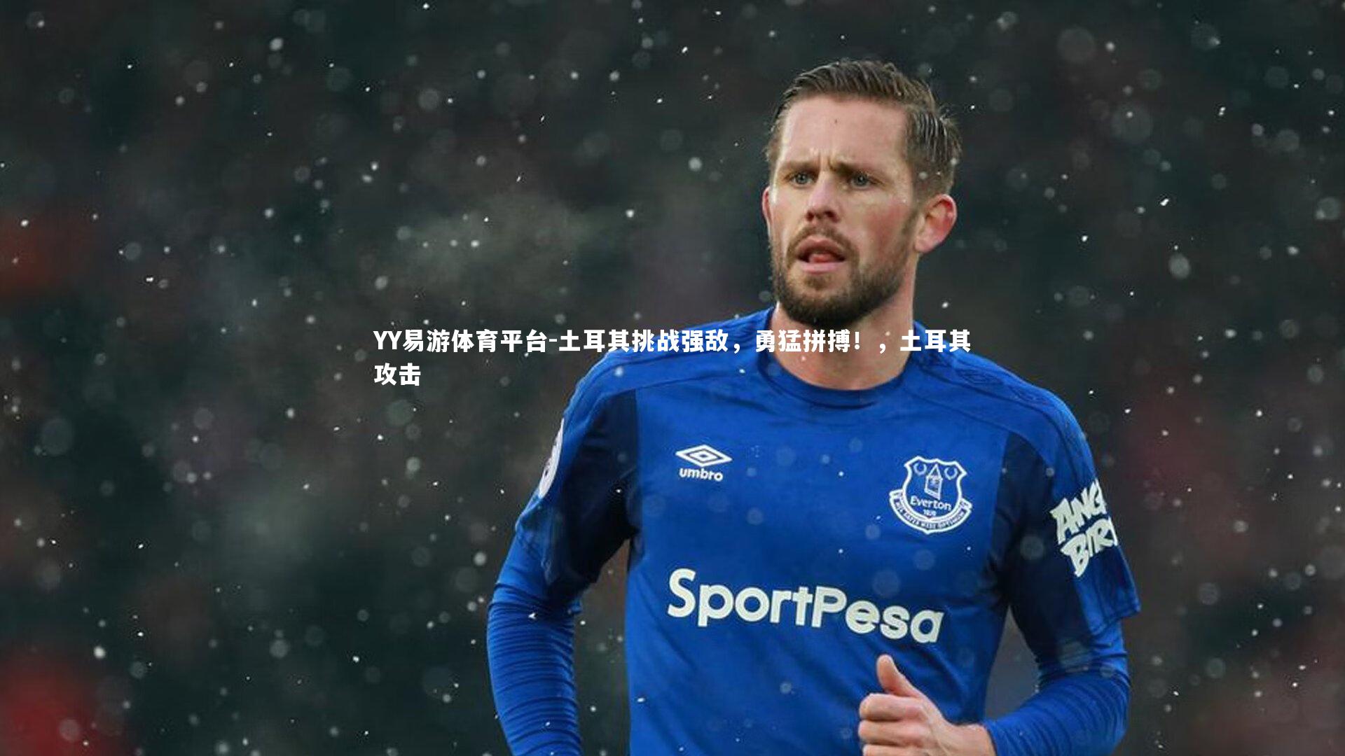 土耳其挑战强敌，勇猛拼搏！，土耳其攻击